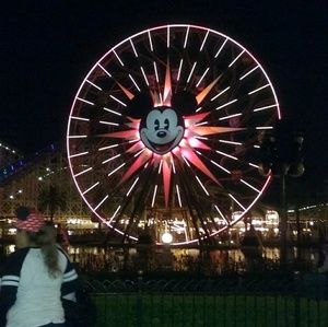 Meet your Posher, Renee